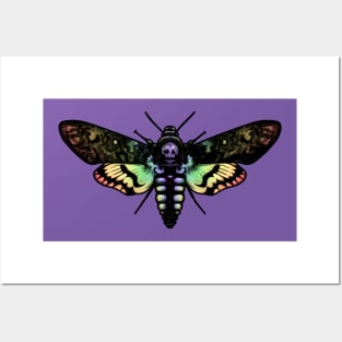 Rainbow Moth Posters and Art